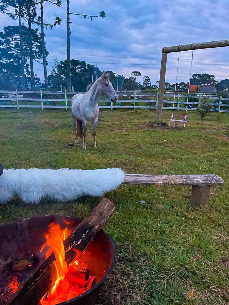 Platto Da Neve:Jacuzzi E Lareira Em Urubici Rg2775 Villa Exterior foto